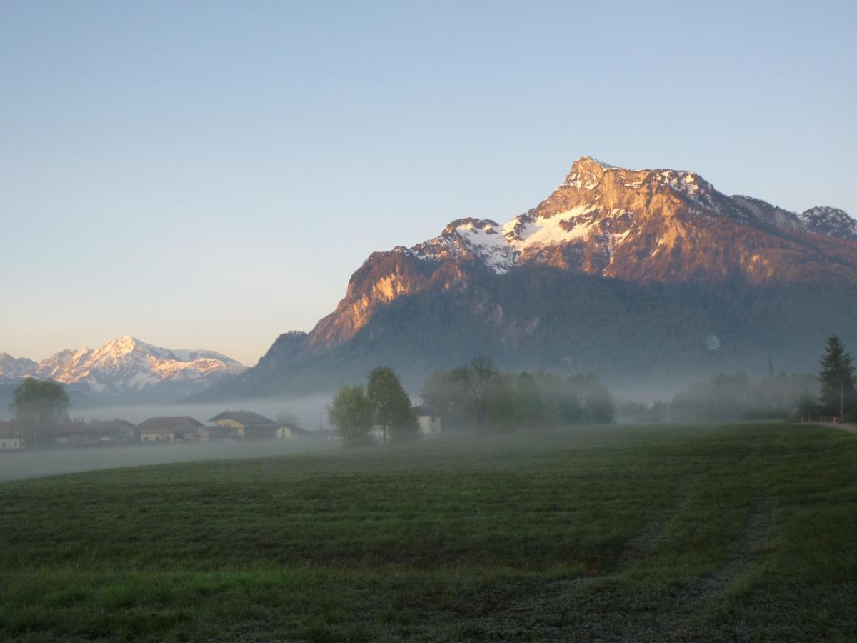 Top-2 Zimmer Ferienwohnung In Salzburg Mit Terrasse Esterno foto